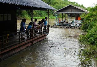 Feed fish in temple