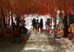 Visit Red Lotus Pond and Try Lotus Petal Snack