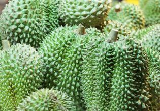 King of fruits. Durians