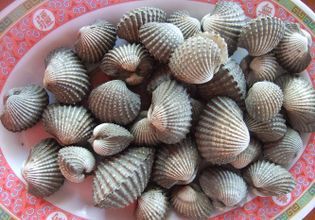 Cycling, Historical places, Museum & Fair Price Seafood