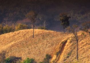 Experience Authentic Thai Life on this Tour in Ban Thung
