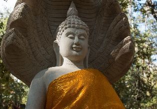 Chiang Mai Unique Temple Tour with A Local