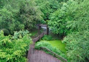 Floating Market & Botanic Garden in Bangkok's Green Space
