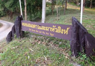 Experience Authentic Thai Life on this Tour in Ban Thung