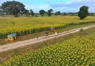 Relax and Get Back to Nature with a Tour of Khao Yai National Park