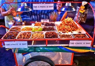 Let them be unleashed! An extraordinary day tour around Bangkok