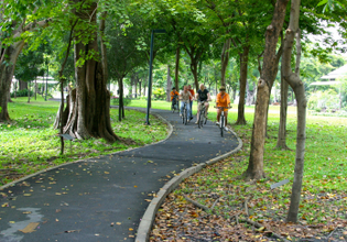 Ride through a public park