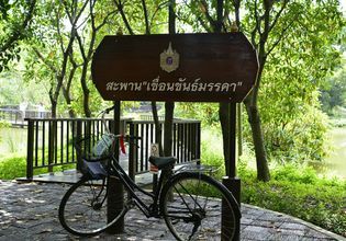Bike Tour of Bangkok’s Green Lung : Bang Krachao