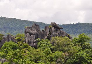 Kun Ming of Loei Tour: Mountain Senic with local North-eastern foods.