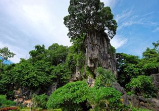 Kun Ming of Loei Tour: Mountain Senic with local North-eastern foods.