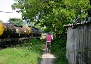 Cycling along the train graveyard