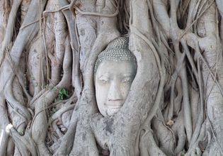 Wat Maha That