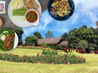 Doi Tung Royal Villa & White Temple with Signature Northern Meal