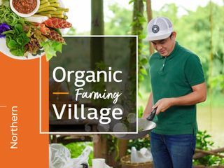 Visit Organic Farming Village with Local Farmer and Taste Northern Thai Food 