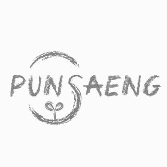 Punsaeng H.