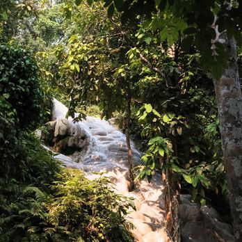 Bua Tong Waterfalls (น้ำตกบัวตอง)