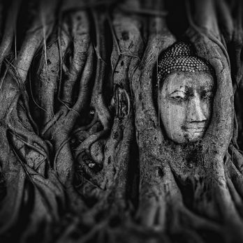 Wat Mahathat (วัดมหาธาตุ)