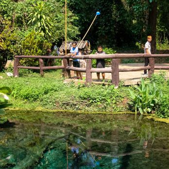 Bua Tong Waterfalls (น้ำตกบัวตอง)