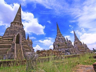 Hang out with Elephants in Ayutthaya