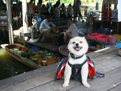 Thai Fun: Taling Chan Floating Market with Thai Puppet Show