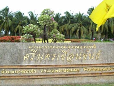 Floating Market & Botanic Garden in Bangkok's Green Space