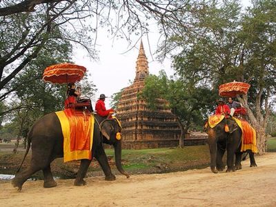 Hang out with Elephants in Ayutthaya