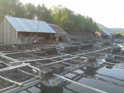 Seafood and fish farm