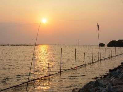Take A Trip to Seagull Watching, Sothorn Temple and Historical Market (Chachoengsao City)