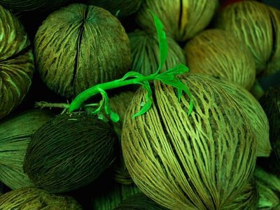 Bang Nam Phueng Floating Market day tour