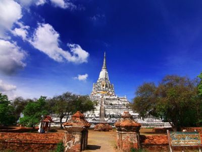 Hang out with Elephants in Ayutthaya