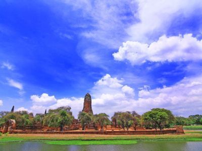 Hang out with Elephants in Ayutthaya