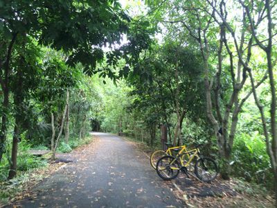 Take a Bike Tour of Bangkok's Green Lung