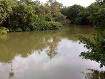 Bang Nam Phueng Floating Market day tour