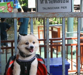 Thai Fun: Taling Chan Floating Market with Thai Puppet Show