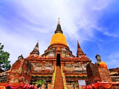 Hang out with Elephants in Ayutthaya
