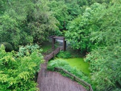 Floating Market & Botanic Garden in Bangkok's Green Space