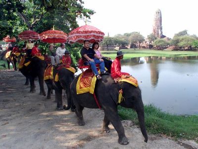 Hang out with Elephants in Ayutthaya