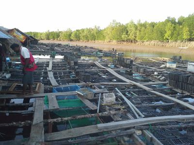 Seafood and fish farm