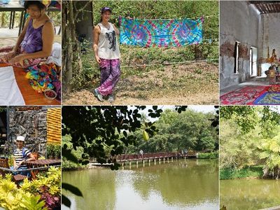 1 Day Trip at Bang Kachao “The Lungs of Bangkok”