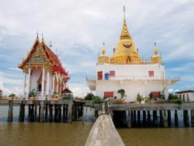Take A Trip to Seagull Watching, Sothorn Temple and Historical Market (Chachoengsao City)