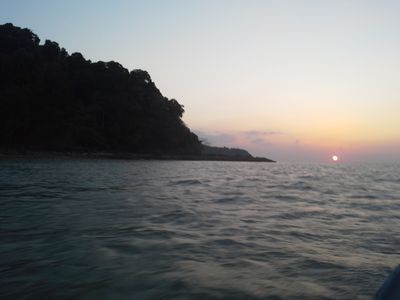 Seafood and fish farm