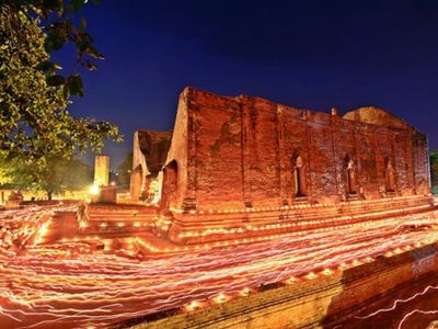 Hang out with Elephants in Ayutthaya