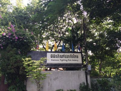 Take a Bike Tour of Bangkok's Green Lung