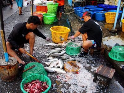 Bangsaen Beach Tour and Seafood Market!