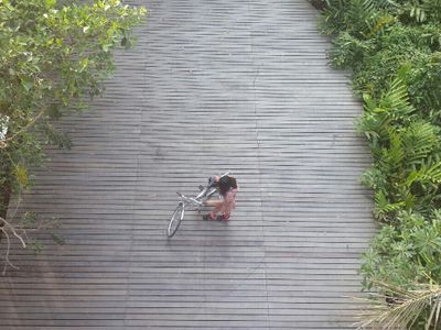Take a Bike Tour of Bangkok's Green Lung