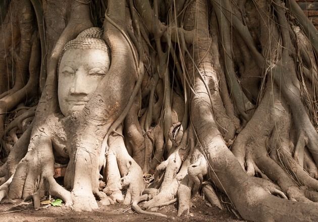 Historic city of Ayutthaya